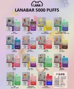 LANA BAR5000口 一次性/拋棄式電子煙  可充電