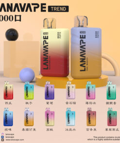LANA6000 PUFFS 抛棄式電子烟 台灣電子烟批發