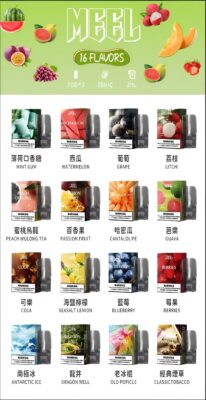 meel一代煙彈